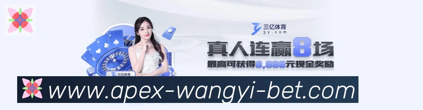 未来规划